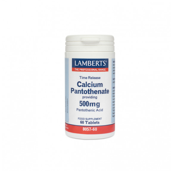 Calcium Pantothenate 500mg