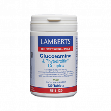 Glucosamine & Phytodroitin™ Complex Glucosamine & Phytodroitin™ Complex