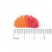 Biome Balance Advance Gummies